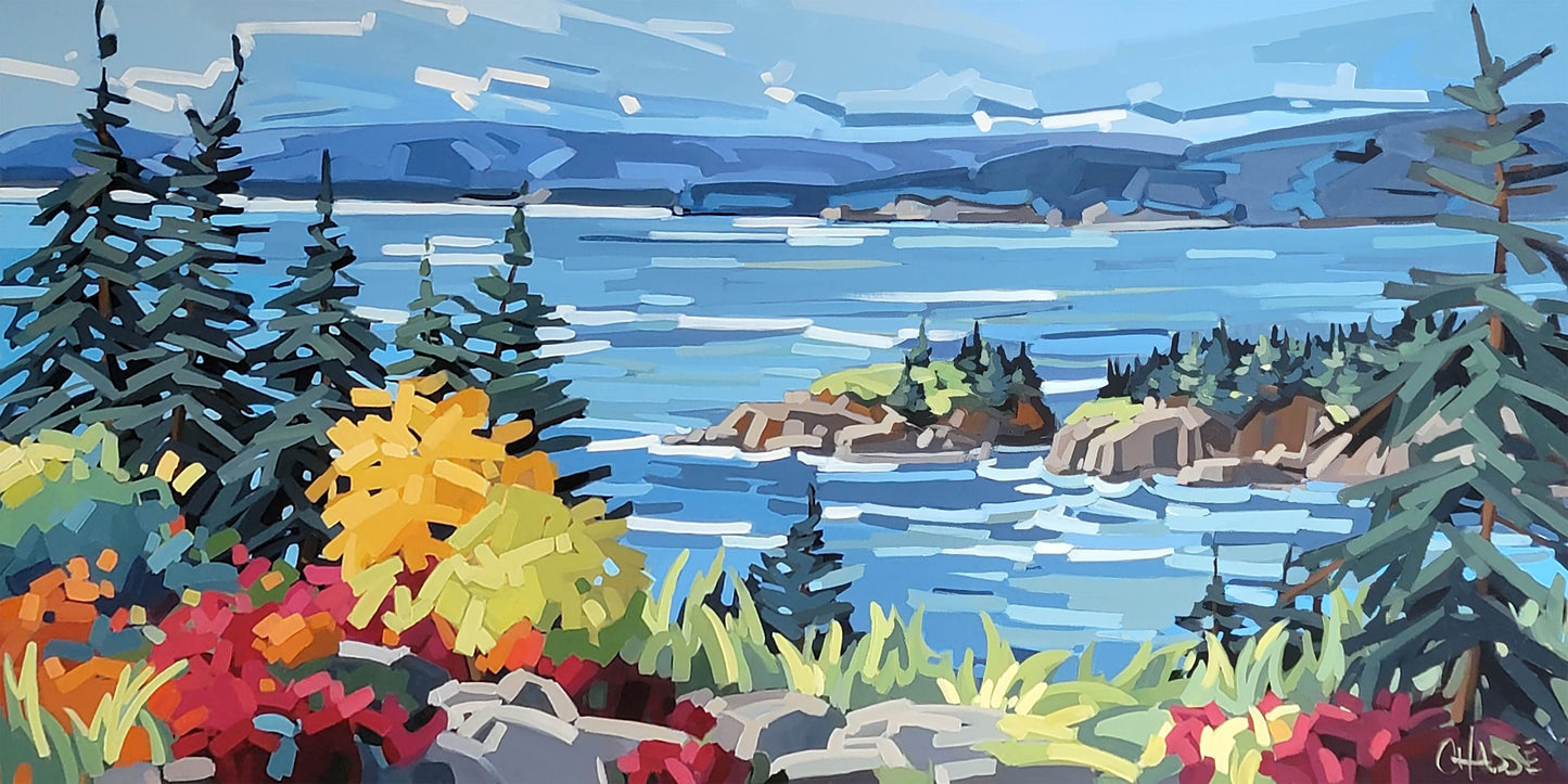 EN REVENANT DE CAP ENRAGÉ