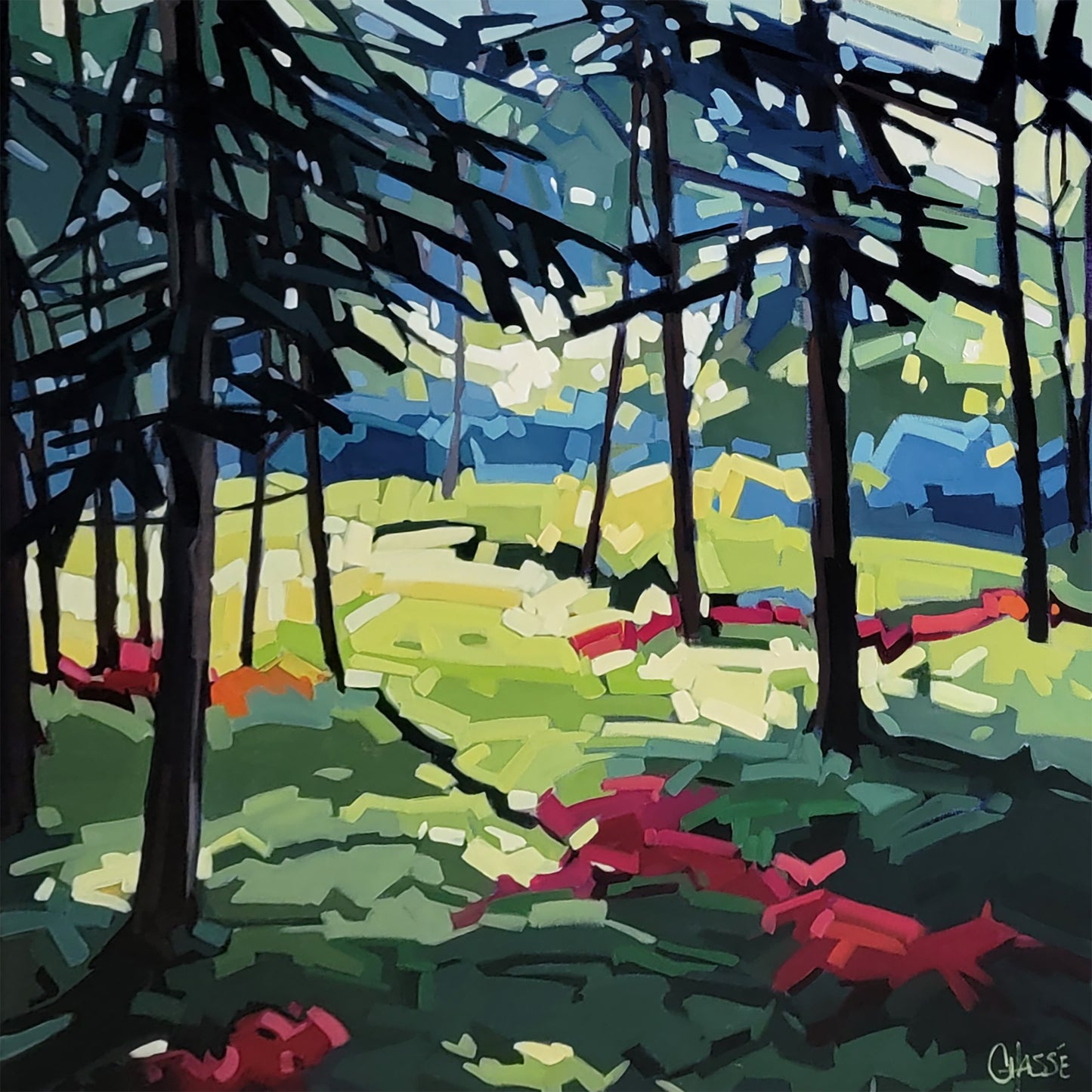 MARCHE VERS LA LUMIÈRE