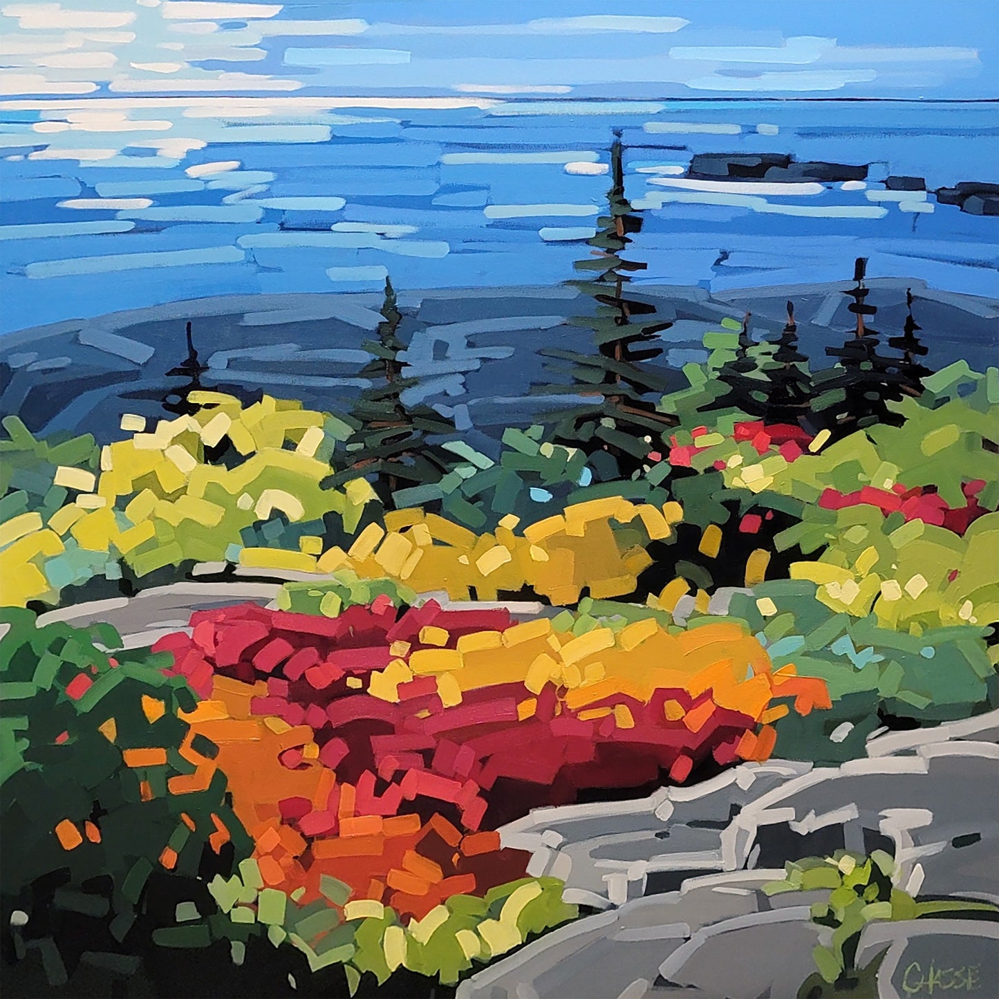 NATURE EN EFFERVESCENCE