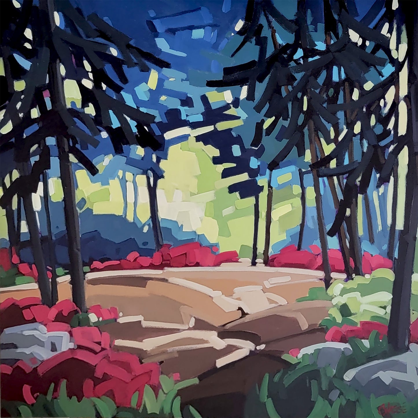 QUELQUES INSTANTS DANS LA FRAICHEUR DU SOUS-BOIS