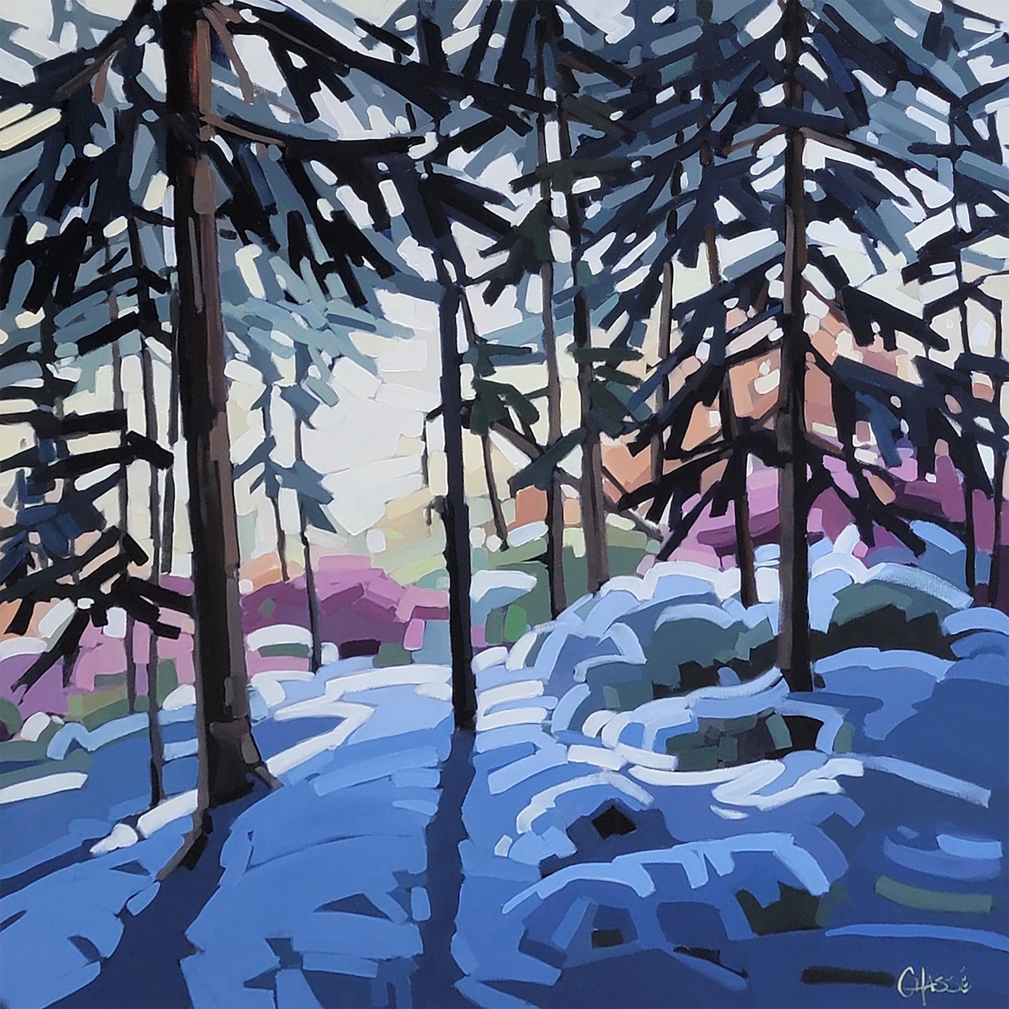 SOUS LE CHARME DE L'HIVER 11