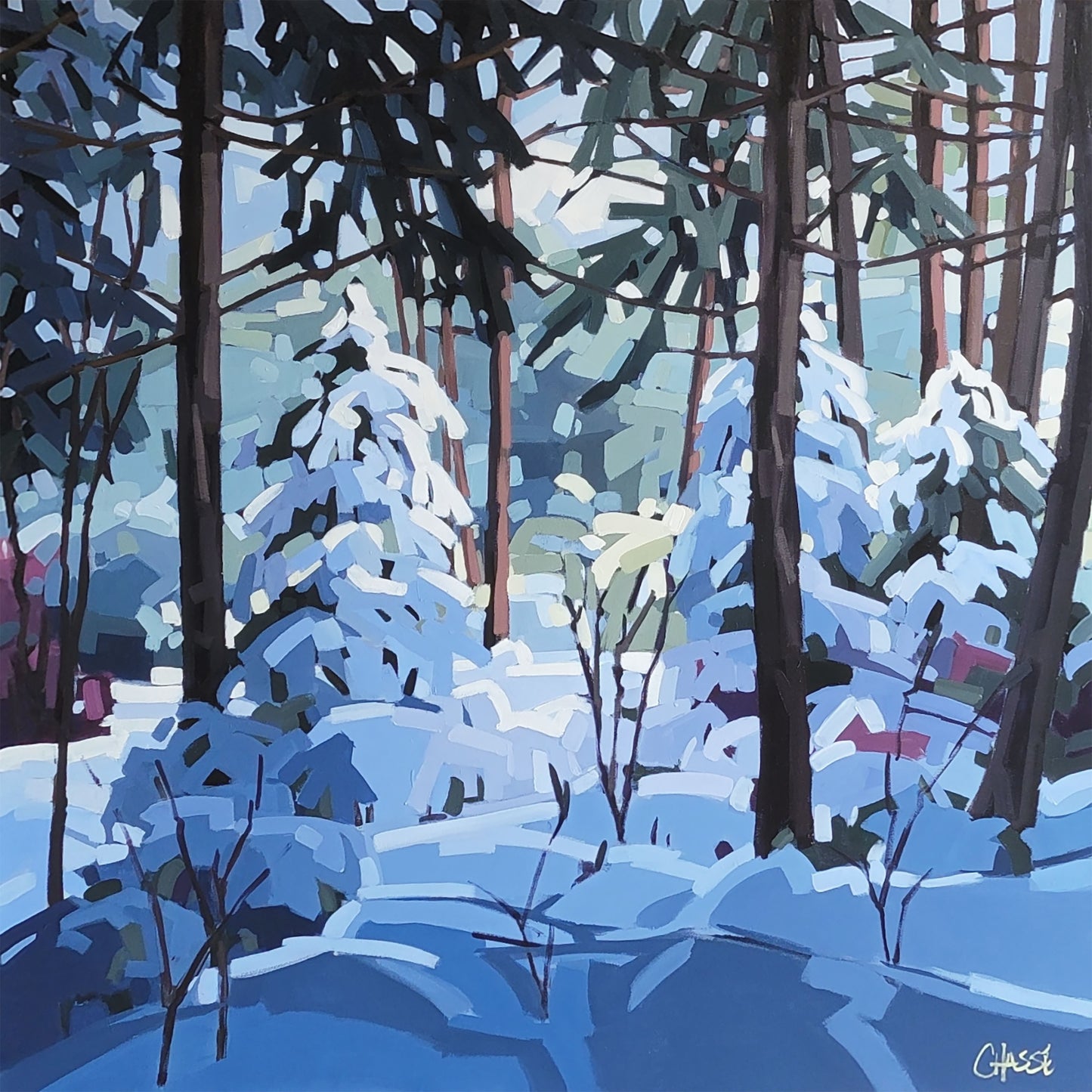 SOUS LE CHARME DE L'HIVER 14