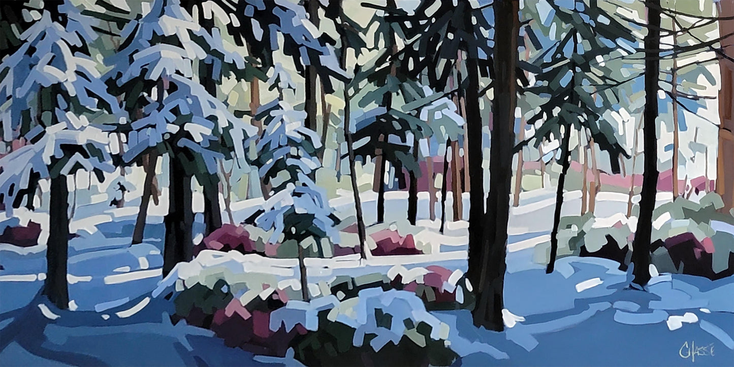 SOUS LE CHARME DE L'HIVER 16