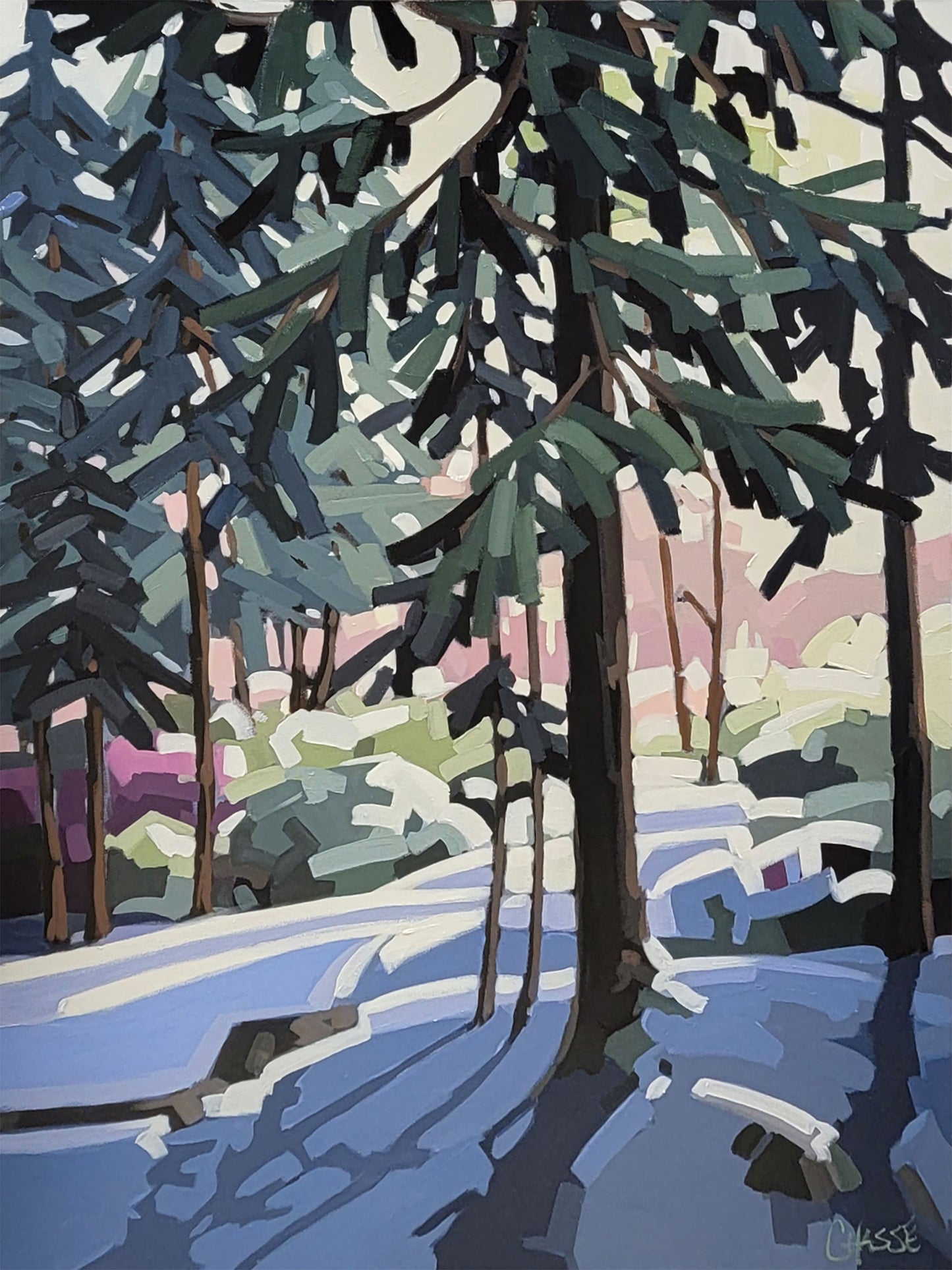 SOUS LE CHARME DE L'HIVER 19