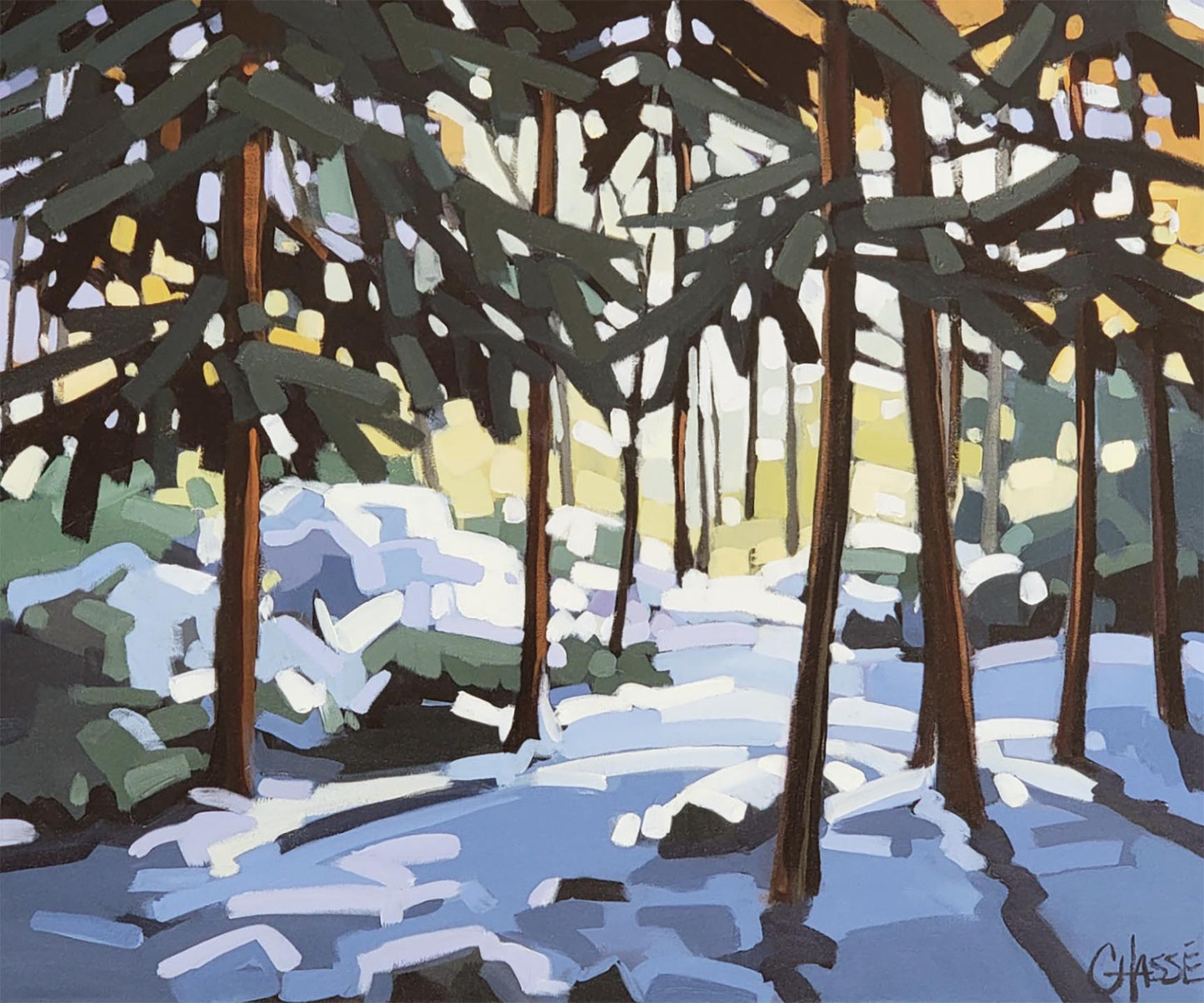 SOUS LE CHARME DE L'HIVER 06