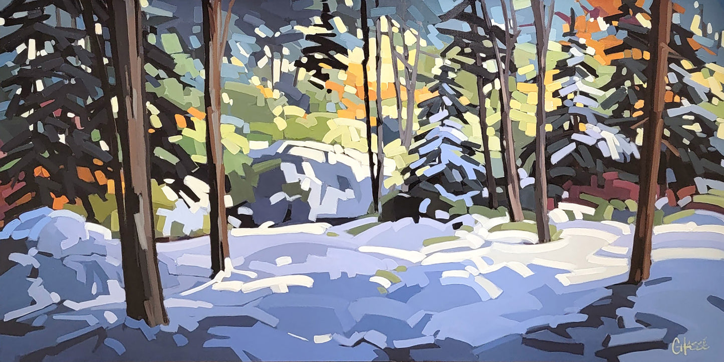 SOUS LE CHARME DE L'HIVER 07