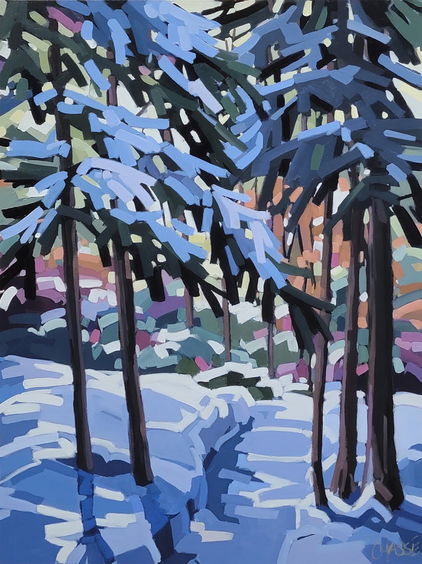 SOUS LE CHARME DE L'HIVER 08