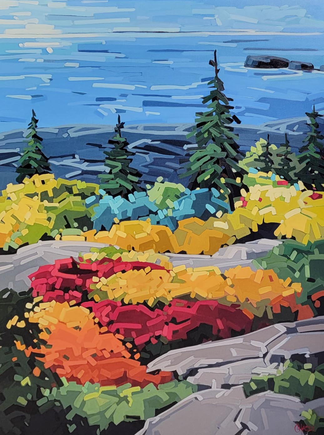 SOUVENIRS DE VACANCES