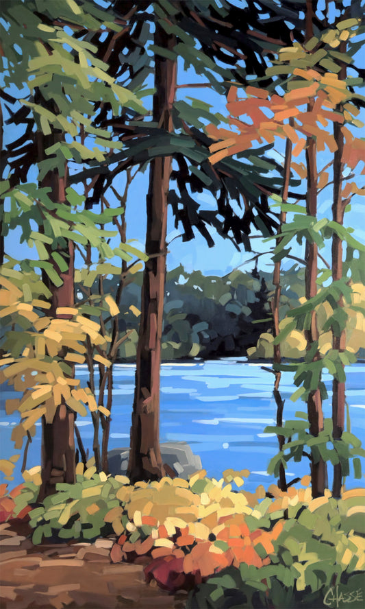 APRÈS-MIDI AU LAC CARIBOU