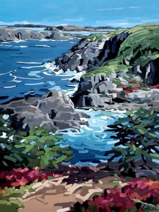 DEVIL'S COVE, TERRE-NEUVE