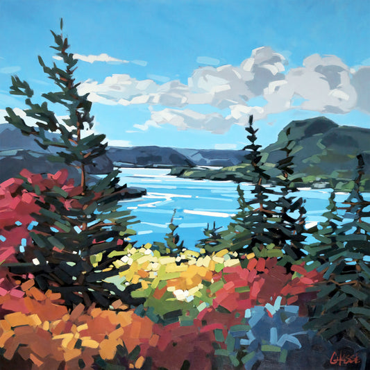 DU HAUT DE WOODY POINT
