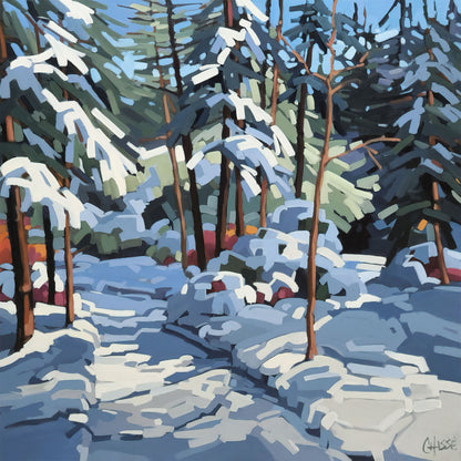 HIVER INTEMPOREL 20