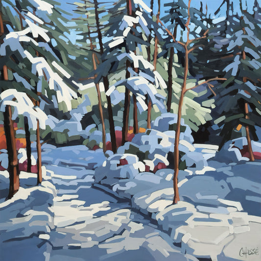 HIVER INTEMPOREL 20
