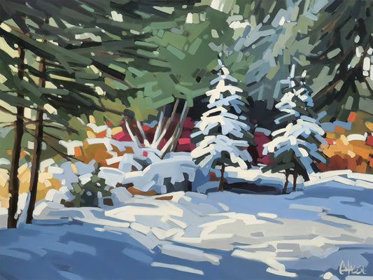 HIVER INTEMPOREL 21