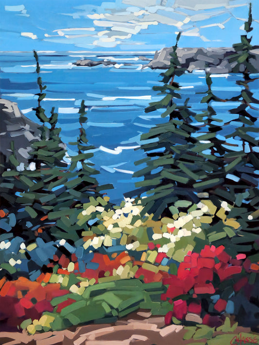 SLEEPY COVE, TERRE-NEUVE