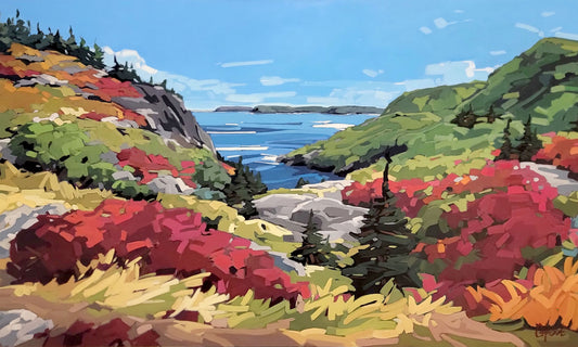 SUR LE SENTIER MENANT À QUIDI VIDI